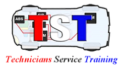 Tst Logo